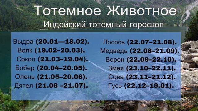 Узнай Свое Тотемное Животное, и Сделай Жизнь Лучше! смотреть онлайн