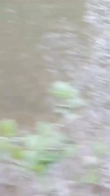 вот вам ещё рыбалки пошёл большой улов! смотреть онлайн