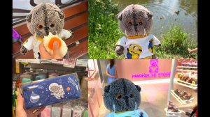 ТОВАРЫ С БАСИКАМИ в магазине Буквоед / Прогулка по Санкт-Петербургу / Выставка бездомных котов