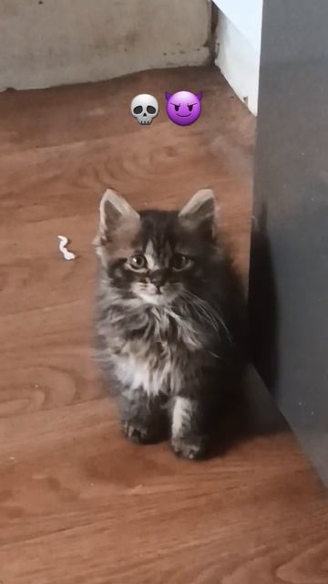 20. júla 2024 смотреть онлайн