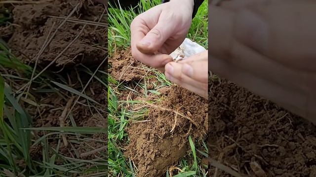 23 мая 2023 г. смотреть онлайн