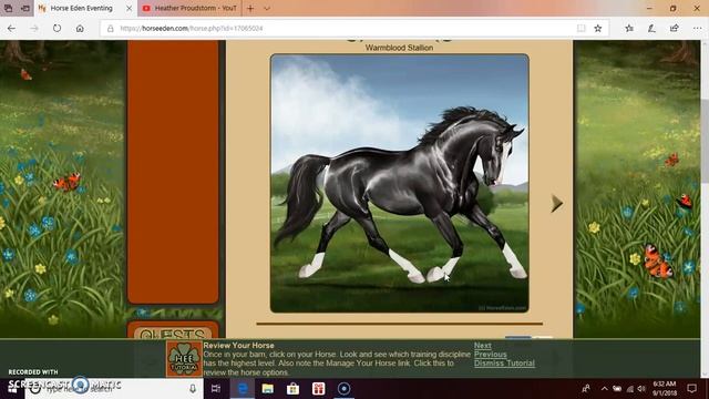 ~Let's play~ Horse Eden Eventing Episode 1: A New Beginning смотреть онлайн