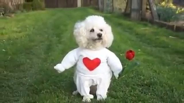 Человечек смотреть онлайн