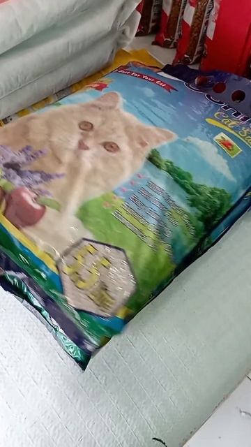 5 PERLENGKAPAN UNTUK ADOPSI KUCING смотреть онлайн