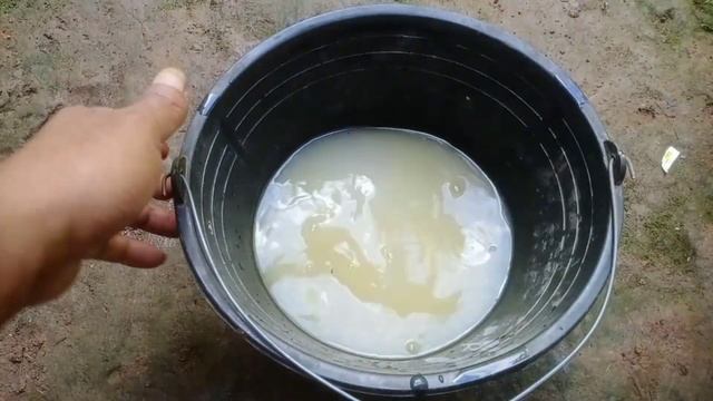 Bukan sulap Tanaman kecil mandul langsung berbuah lebat cukup sekali kocor bahan ini смотреть онлайн