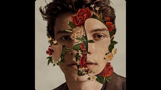 Fallin' All In You - Shawn Mendes смотреть онлайн