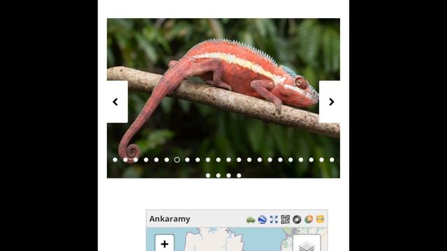 7 Panther Chameleon Locales смотреть онлайн