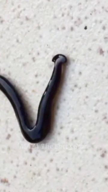 Hammer head worms#mayajal #কৃমি смотреть онлайн