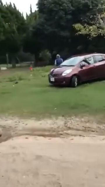 #japan смотреть онлайн