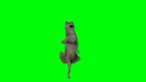 🐶 Собака танцует под «Ихвильнихт» 🕺#приколы #memes #мем #собакатанцует #ихвильнихт