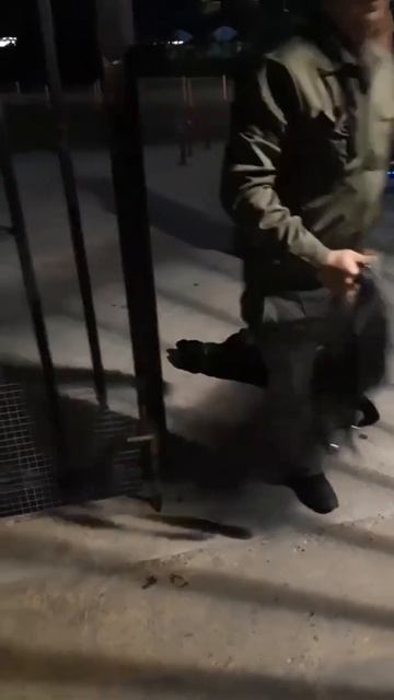В Сочи охранник отеля чуть не задушил собаку смотреть онлайн