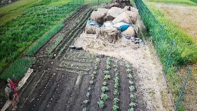 Атака бешеных лис на Тамбовщине. смотреть онлайн