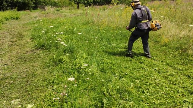 Grass cutting machine. Brushcutter Alpina. Top. Quality. смотреть онлайн