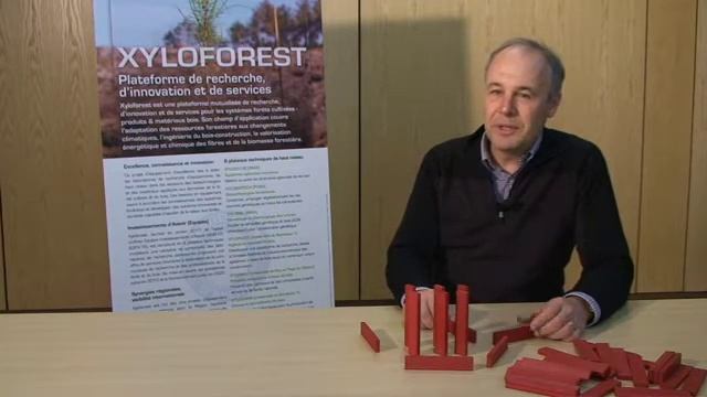 Innovapin, Experts Bois, JM. Carnus смотреть онлайн