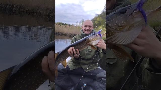 рыбалка 2024,37регион.огромная щука на спининг.12 мая.трофейная щука. смотреть онлайн