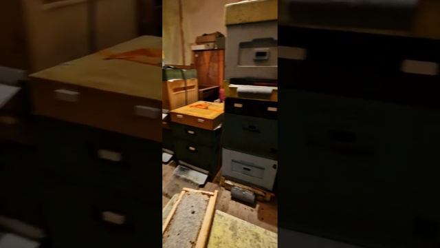 17 декабря 2023 г. пчелы в наследство. Что делать или первые самостоятельные шаги. смотреть онлайн