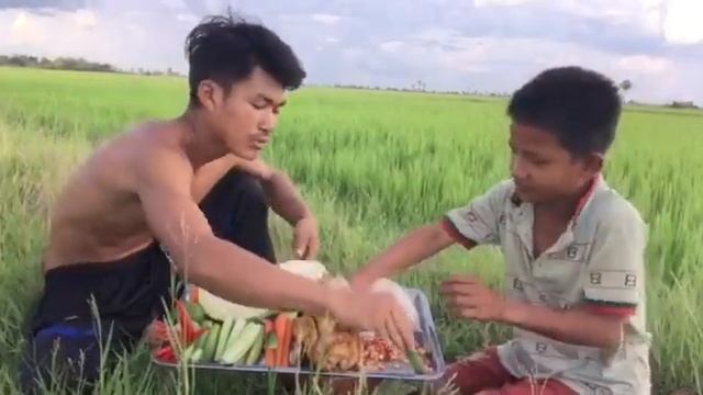 Eat boiled chicken with vegetables in a beautiful field / Съешьте отварную курицу с овощами на крас смотреть онлайн