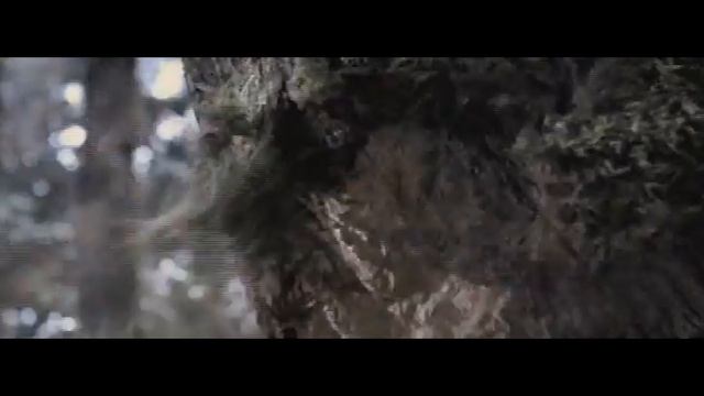 Shinobi fighting смотреть онлайн