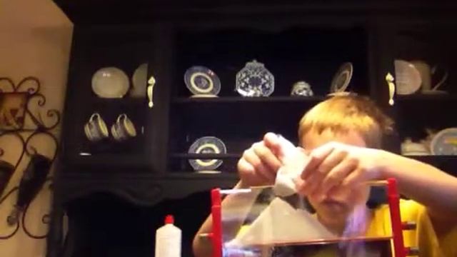 Ant man ant farm Crazy Caiden Videos смотреть онлайн