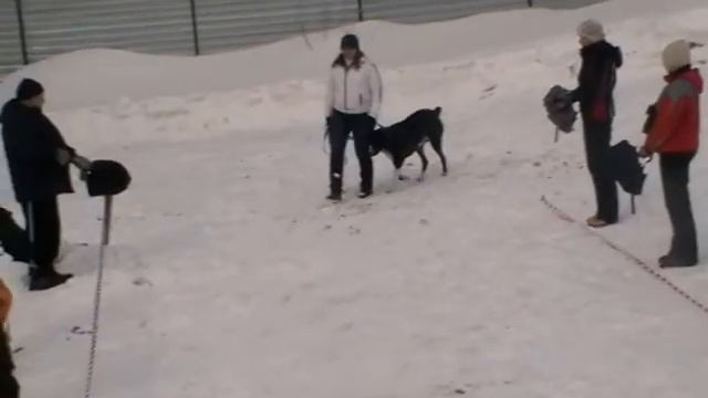 Ави. КТ (визуальные раздражители) смотреть онлайн