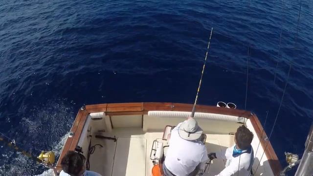 Dave marlin view from bridge смотреть онлайн