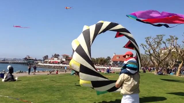 Watching kites in San Diego with Jim and Eileen смотреть онлайн