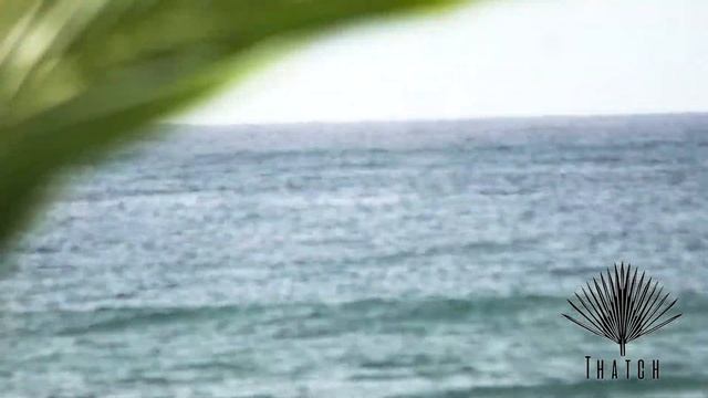 Visual Vibes Cayman смотреть онлайн