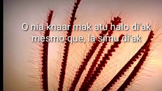 KETA KOLE ATU HALO DI'AK🙂 #positivevibes смотреть онлайн