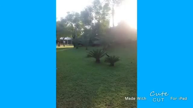 (Милана Кэт!!!)мои фотки с отдыха# смотреть онлайн