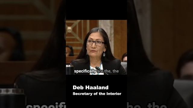 The Yellowstone Grizzly Bear Story: From Endangered to Thriving смотреть онлайн