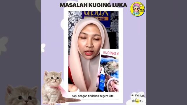UBaX Cat Hero Untuk luka смотреть онлайн