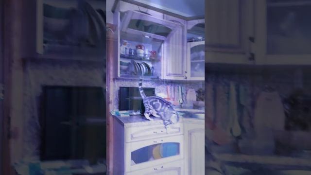 Обработка с ютуб смотреть онлайн