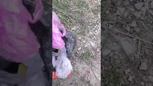 Тазалыкты сактайлы смотреть онлайн