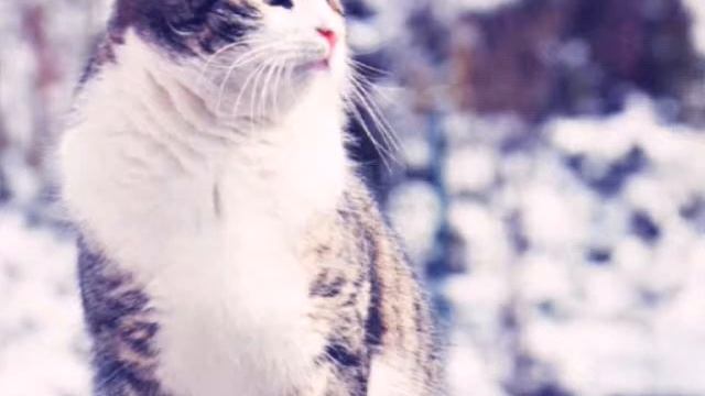 Hello...Добро Пожаловать... смотреть онлайн