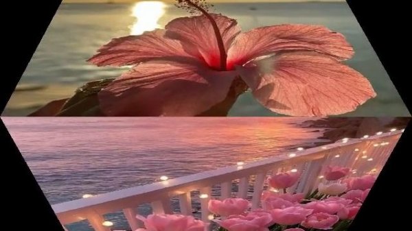 ЯРКОЕ ЛЕТО 🌺🌅МАРИЯ И ДАРЬЯ СИЗОВЫ(N.i.k.a. L.i.n.a.r production( Автор песни Ника Линар)