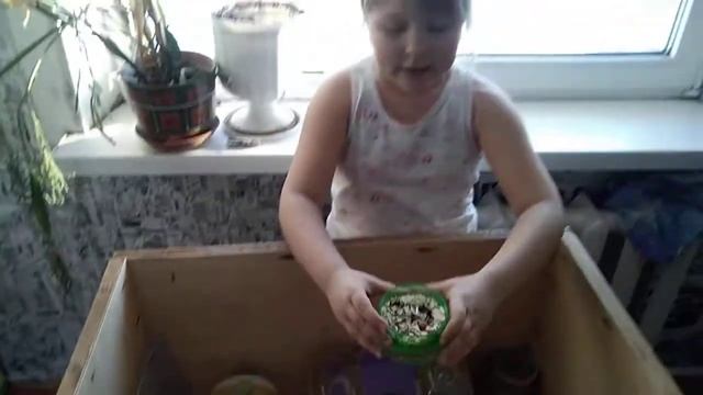 Наши хомяки смотреть онлайн