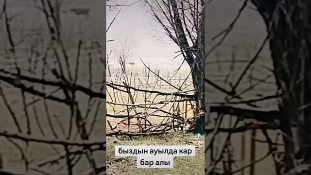 ауылым око толеби ауданы тонкерс смотреть онлайн