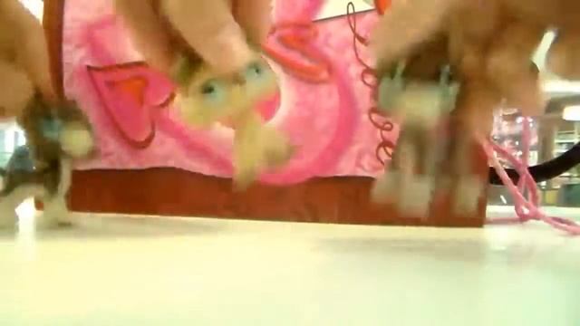 встречка lps-ников в Питере смотреть онлайн