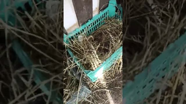 1 марта 2024 г. смотреть онлайн