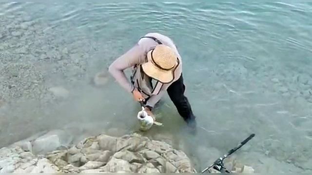 FIRAT TURNASI AVI ve SUYA GERİ İADESİ смотреть онлайн