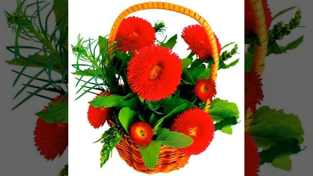 Желаю счастья вам. Muzuc Holly x Drivvin–Til The End смотреть онлайн