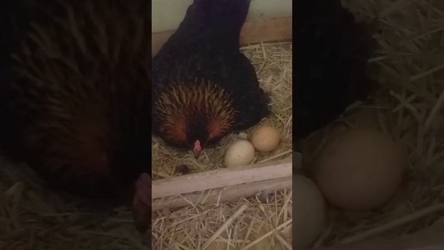 17 апреля 2022 г. смотреть онлайн