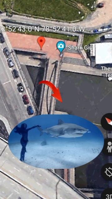 i found strange giant Shark 🦈 in real life on Google maps and Google earth 🌍#shorts #shortvideos смотреть онлайн