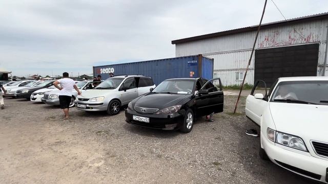 Тайота Камри 30-35,20-25,40-45,50-55 бәрі осы видеода Алматы Авторынок 14.07.24 #алматы #авторынок смотреть онлайн