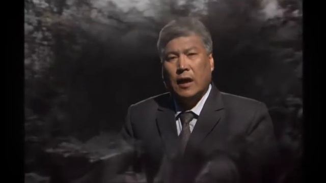 Журавли смотреть онлайн