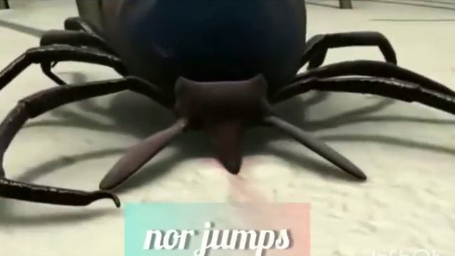 TICK (IXODIDA) #ZOOLOGY G.M. MOMIN WOMEN'S COLLEGE. смотреть онлайн