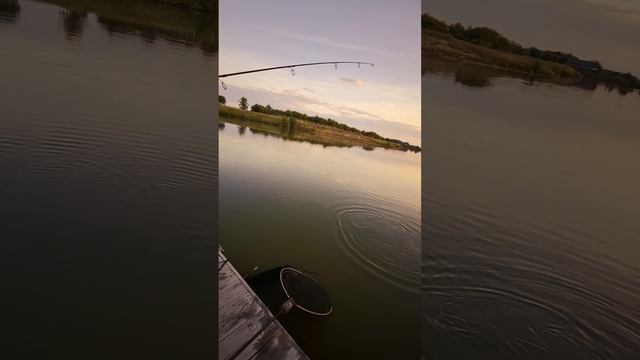 Парнишка зацепил Гришку смотреть онлайн