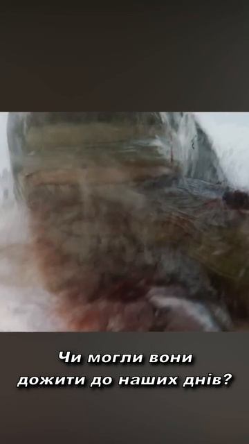 Мегалодон 🦈Або король Акул #shorts смотреть онлайн