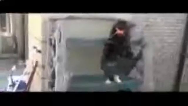 Приколы с животными Смешные приколы с кошками Кошки ЖГУТ смотреть онлайн
