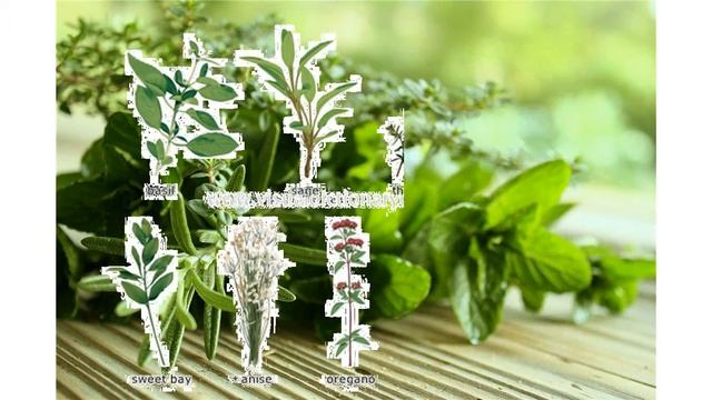 herbs смотреть онлайн